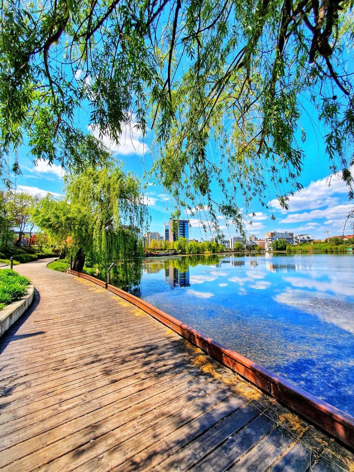 Meb Apartments - Park Lake Kaloşvar Dış mekan fotoğraf